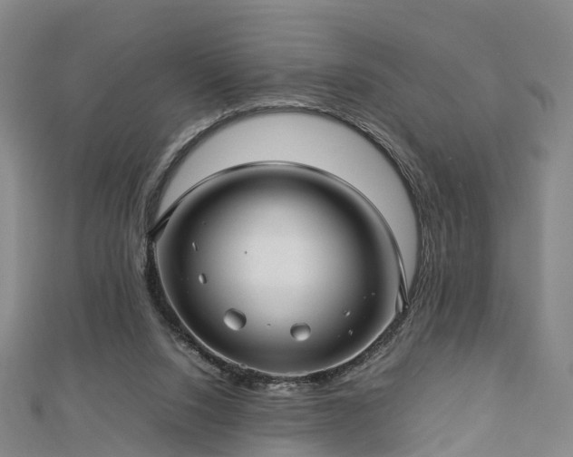 X0000113010064200909031322