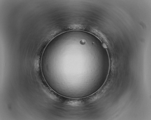 X0000113010065200909031322