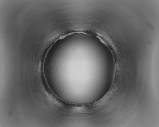 X0000113010066200909031322