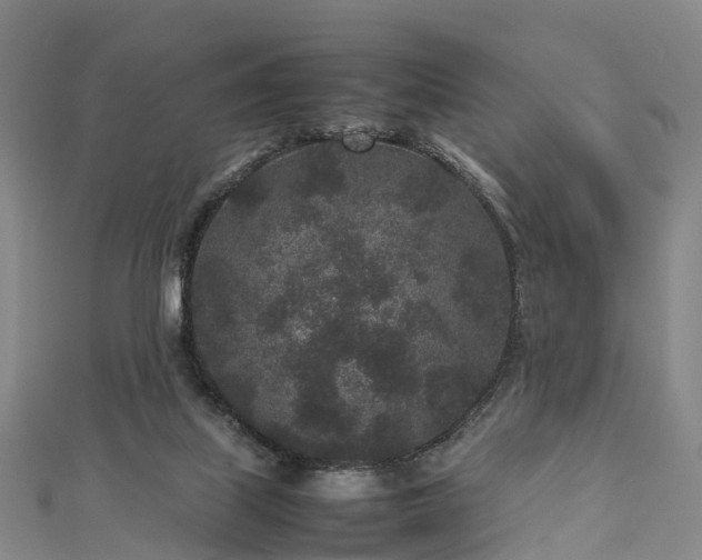 X0000113010067200909031322