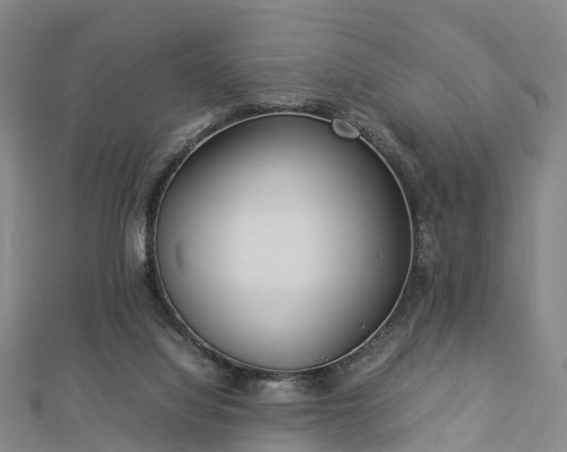 X0000113010068200909031322