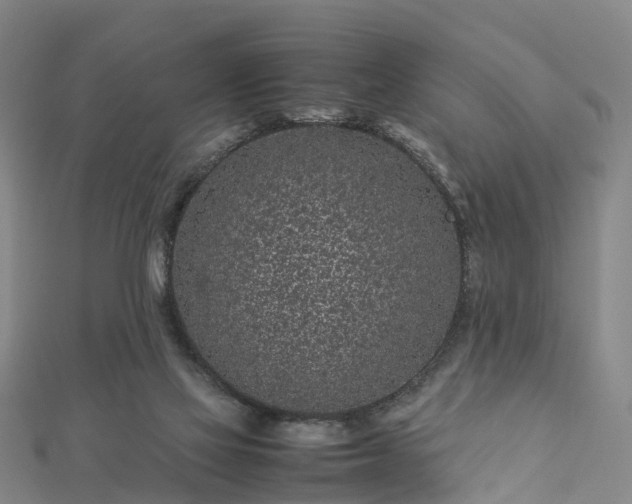 X0000113010069200909031322