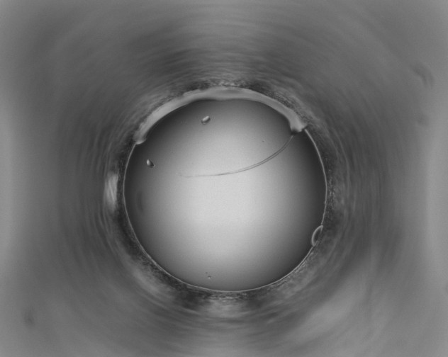 X0000113010070200909031322