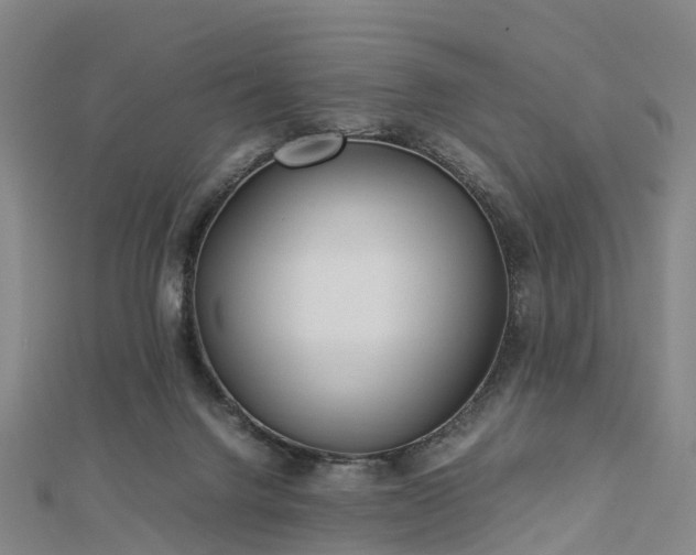 X0000113010072200909031322