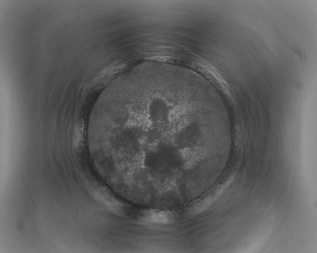 X0000113010073200909031322