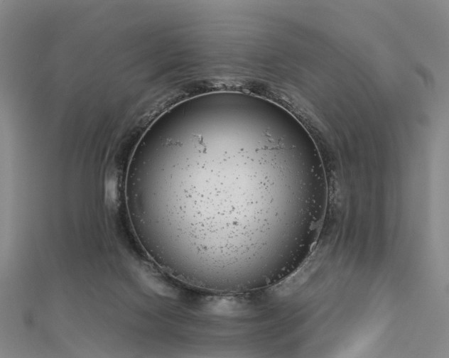 X0000113010074200909031322