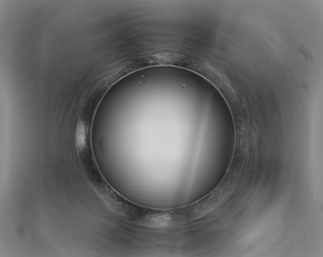 X0000113010075200909031322