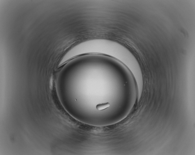 X0000113010076200909031322