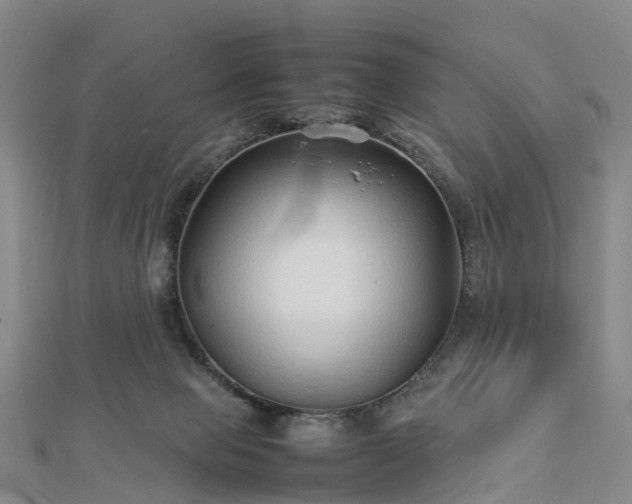 X0000113010077200909031322