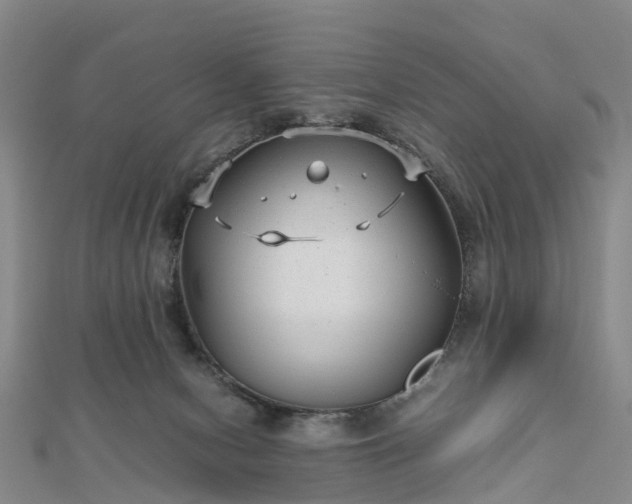 X0000113010078200909031322