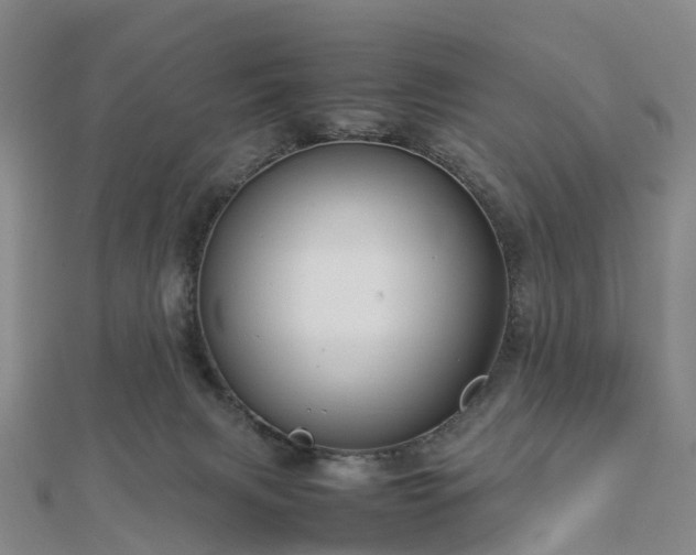 X0000113010079200909031322