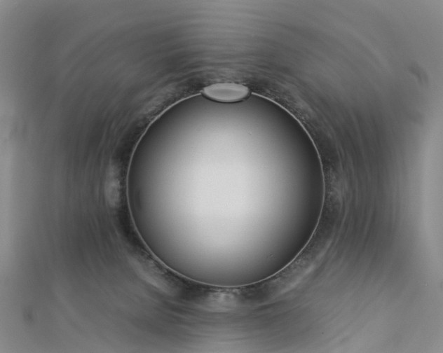 X0000113010080200909031322