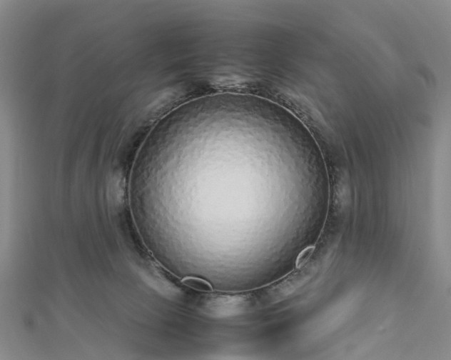 X0000113010081200909031322