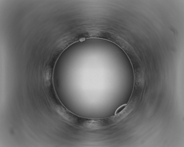 X0000113010082200909031322