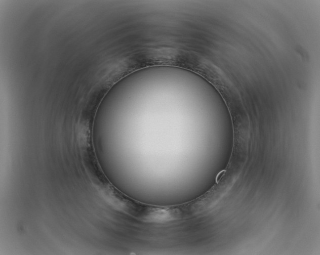 X0000113010083200909031322