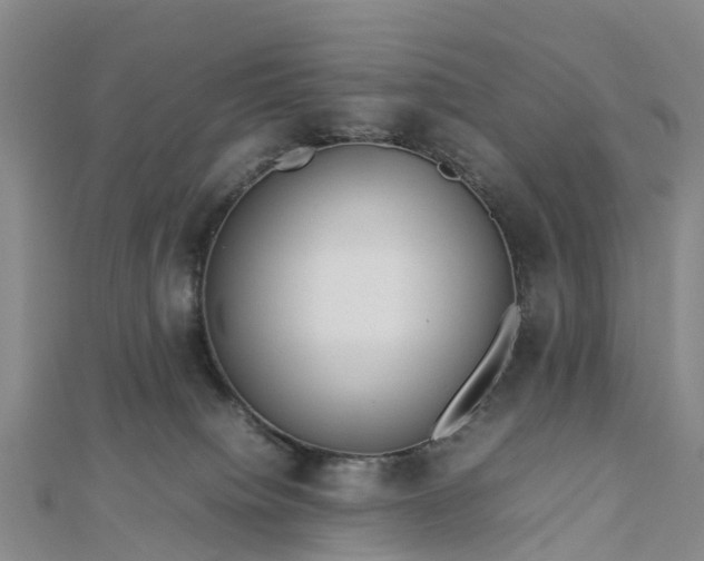 X0000113010084200909031322