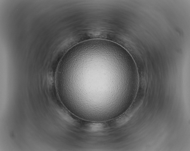 X0000113010085200909031322