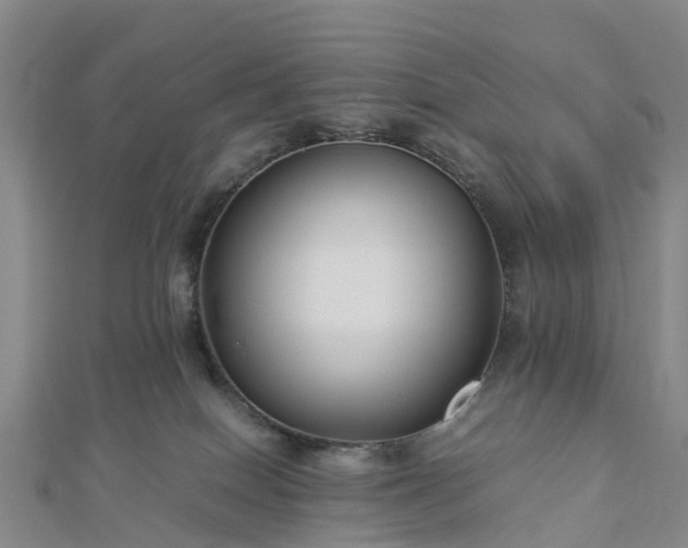 X0000113010086200909031322