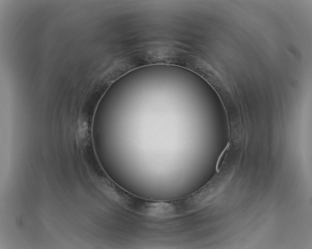 X0000113010087200909031322