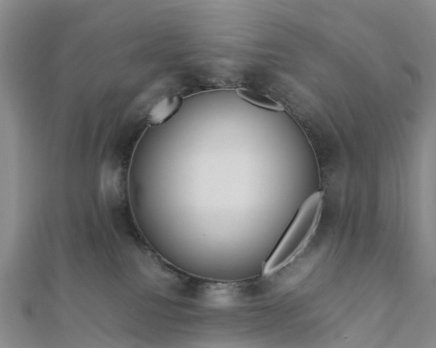 X0000113010088200909031322