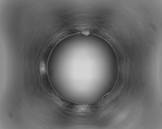 X0000113010089200909031322