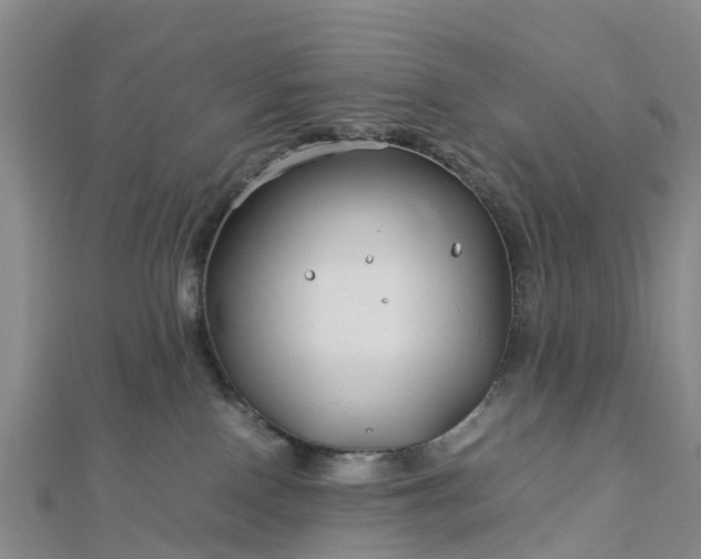 X0000113010090200909031322