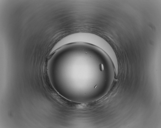 X0000113010092200909031322