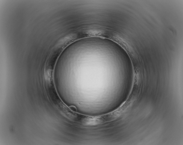 X0000113010093200909031322