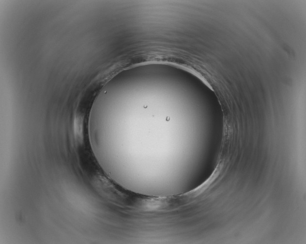 X0000113010094200909031322