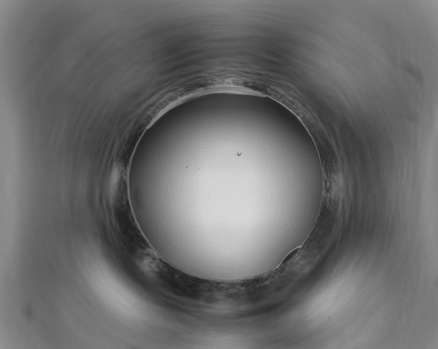 X0000113010095200909031322