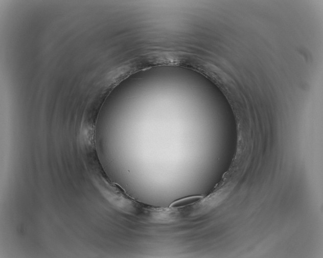 X0000113010096200909031322