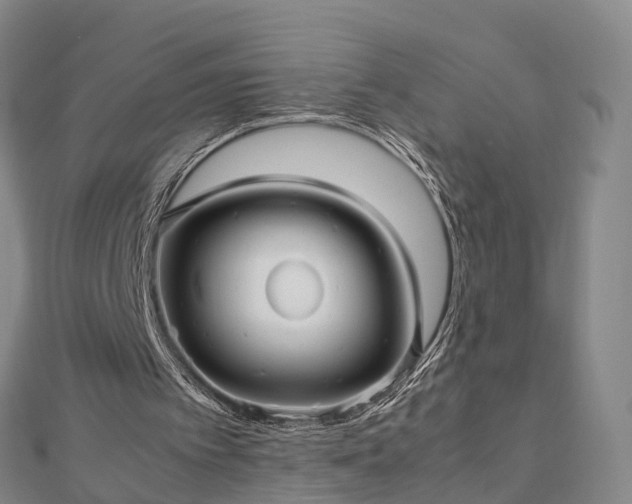 X0000113010097200909031322