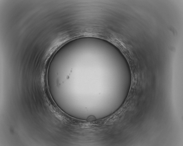 X0000113010098200909031322