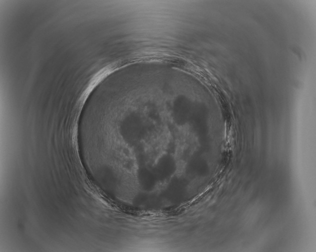 X0000113010099200909031322