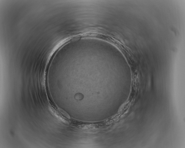 X0000113010100200909031322