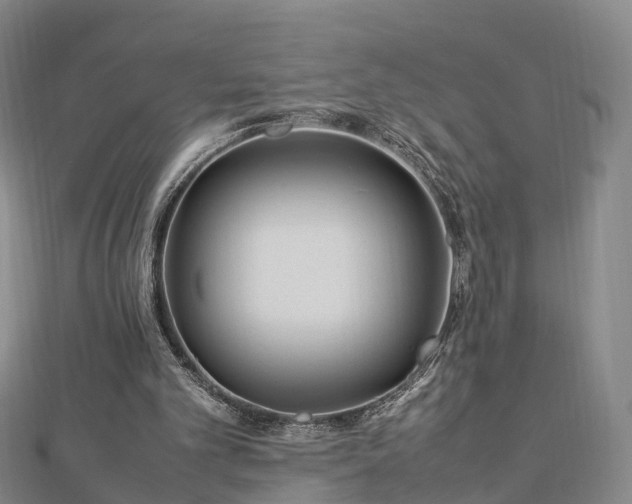 X0000113010101200909031322