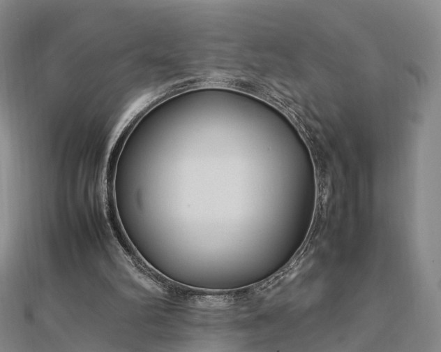 X0000113010102200909031322