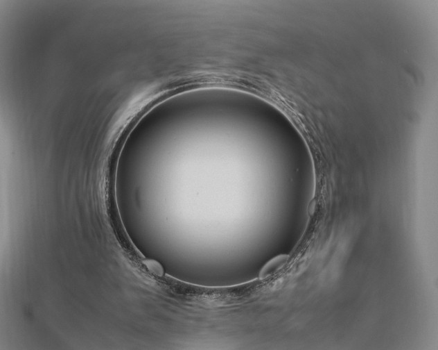 X0000113010103200909031322