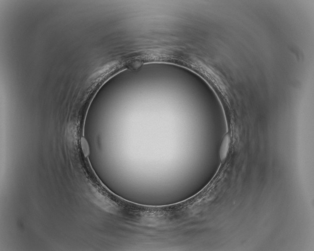 X0000113010105200909031322