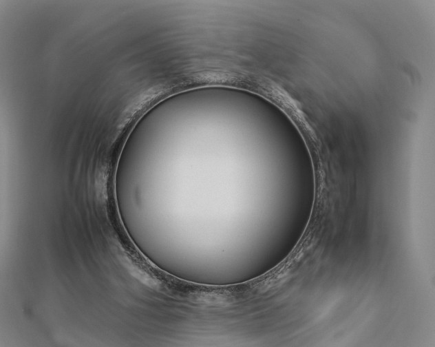 X0000113010106200909031322