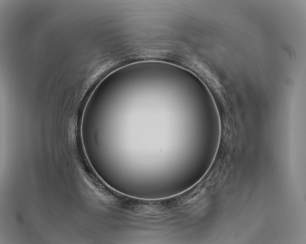 X0000113010107200909031322