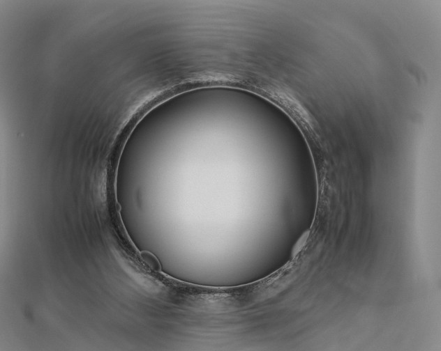 X0000113010108200909031322