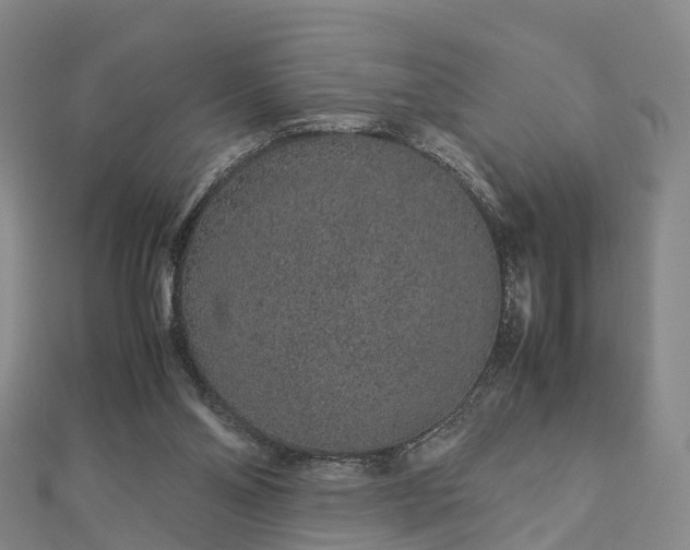 X0000113010110200909031322