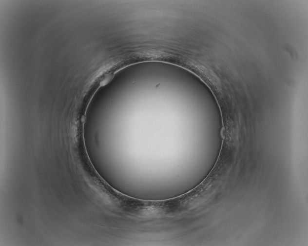 X0000113010111200909031322