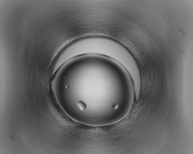 X0000113010112200909031322