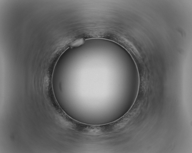 X0000113010113200909031322