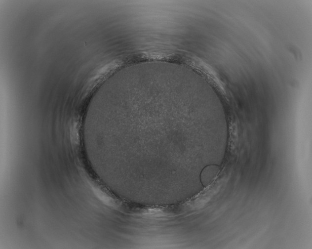 X0000113010114200909031322