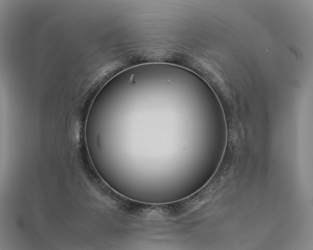 X0000113010115200909031322