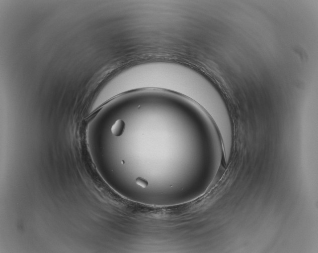 X0000113010116200909031322