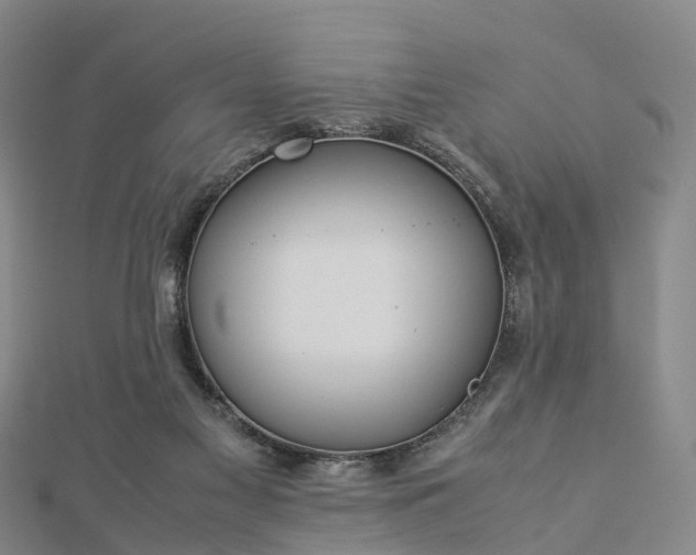 X0000113010117200909031322